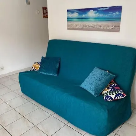 F2 Climatise A Golfe -juan En Front De Et Piscine Apartment